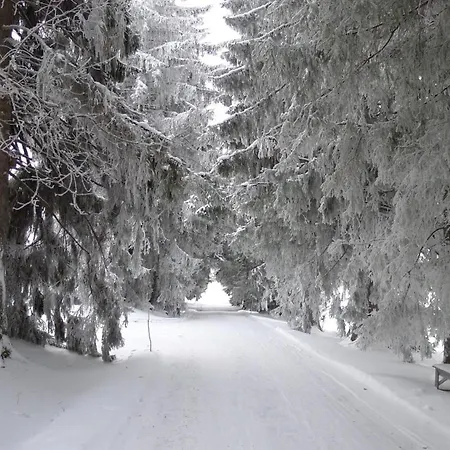 Ξενοδοχείο Valamon Luostari *