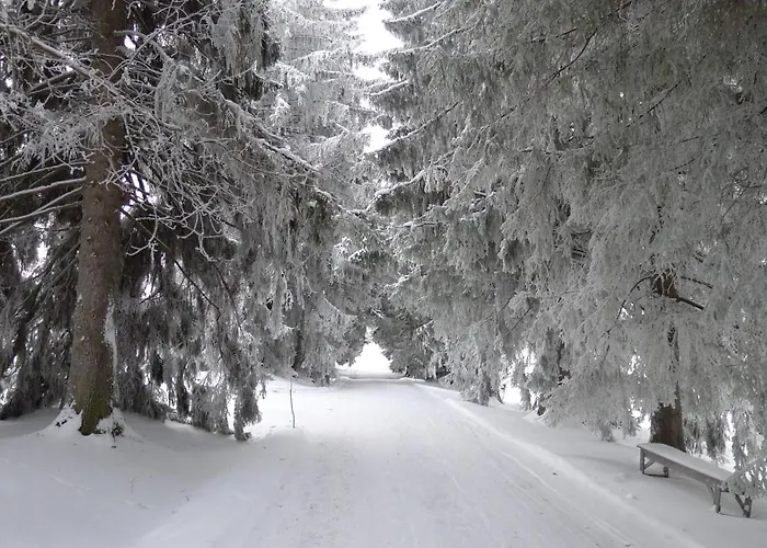 Hotell Valamon Luostari *